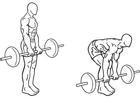 illustration showing a Romanian deadlift in both standing and squatting positions
