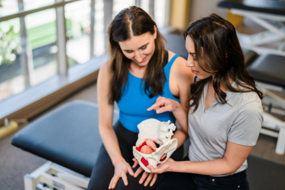 A female physical therapist showing a female patient a replica of the pelvic floor. 